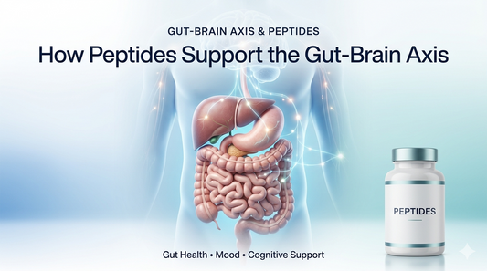 How Peptides Support the Gut-Brain Axis